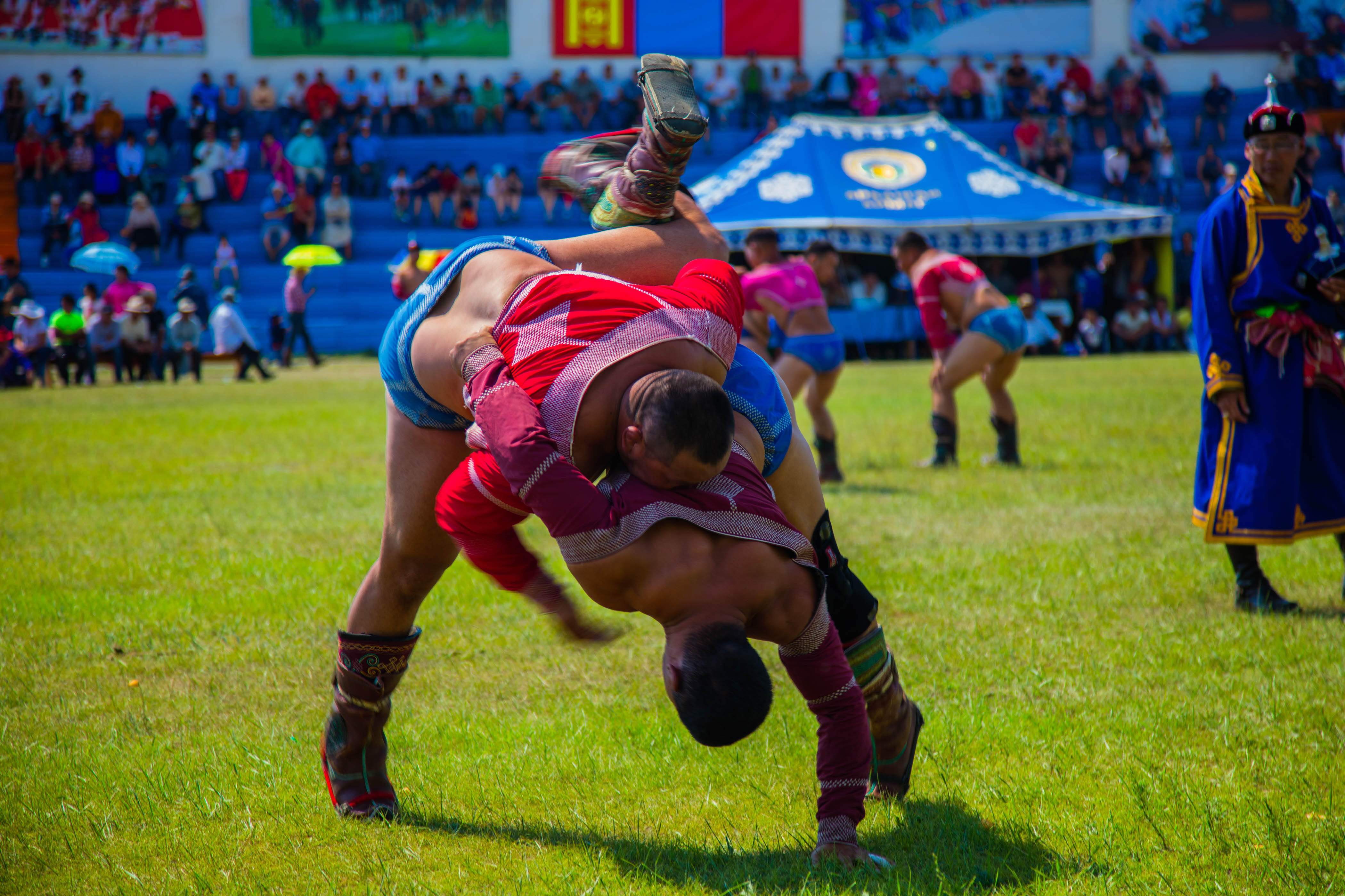 Naadam wrestling