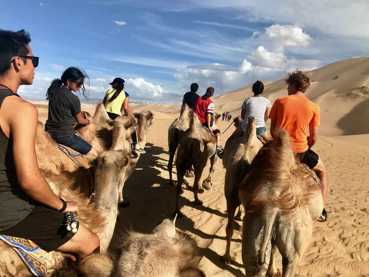Khongoriin Els Camels 2