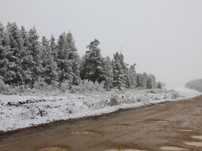 Snowy pass potholed road