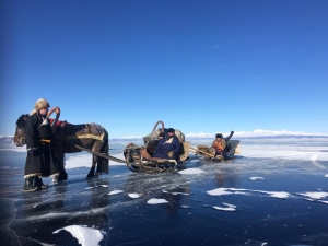 Horse sleds on ice in tandem2