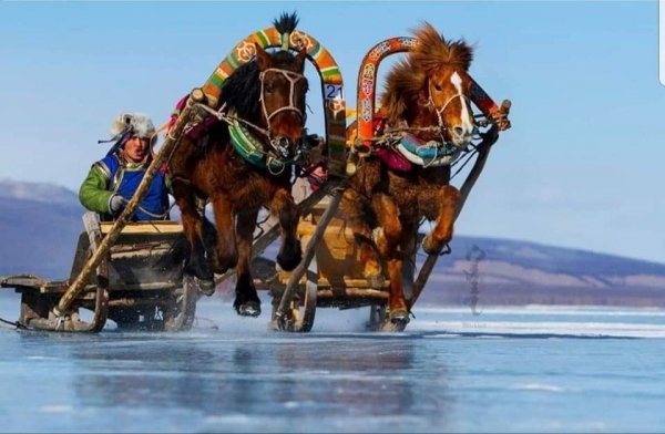 Horse Sleigh Racing2